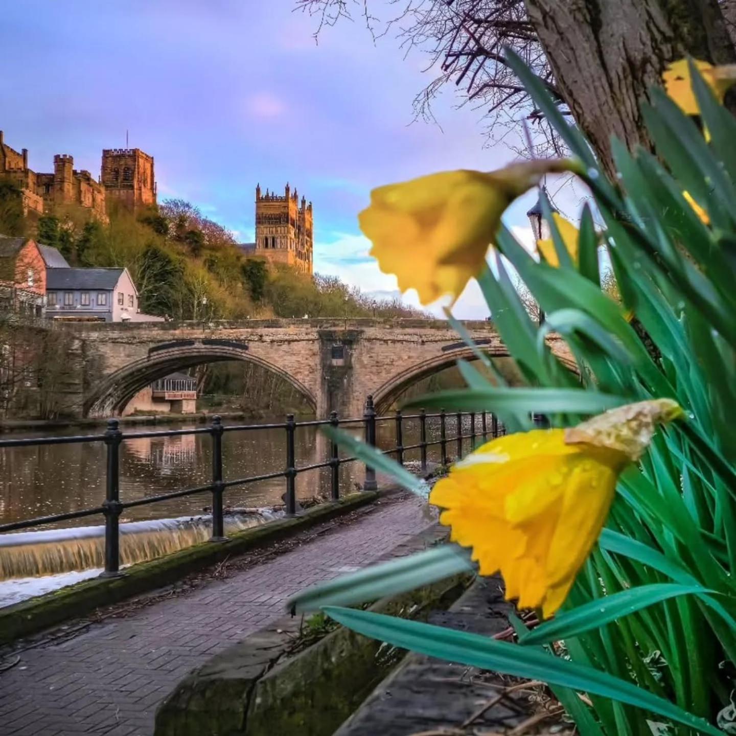Durham Stays - The Mayor Bagian luar foto